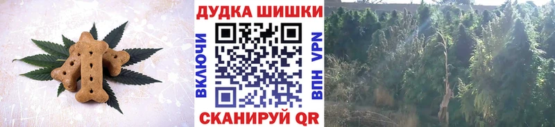 Купить  Кизляр  Еда ТГК конопля 