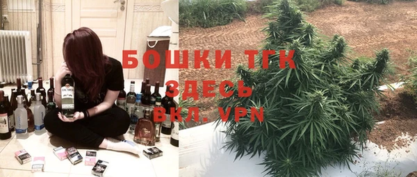 МДПВ Алексин