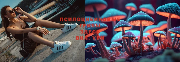 эйфоретик Алзамай
