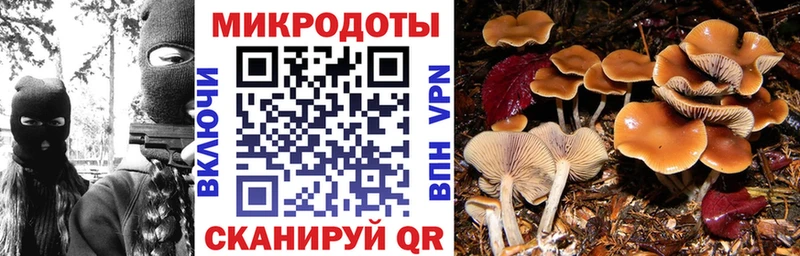 Псилоцибиновые грибы прущие грибы  Купить где  Кизляр 